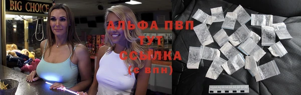 крисы Абаза