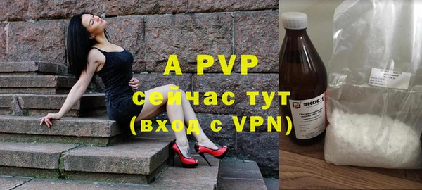 крисы Абаза