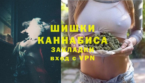 крисы Абаза