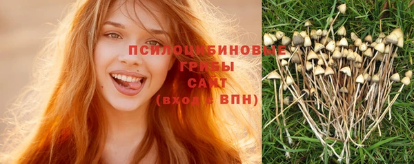 прущие грибы Абдулино