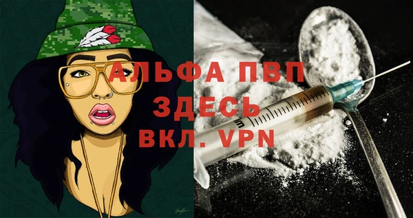крисы Абаза