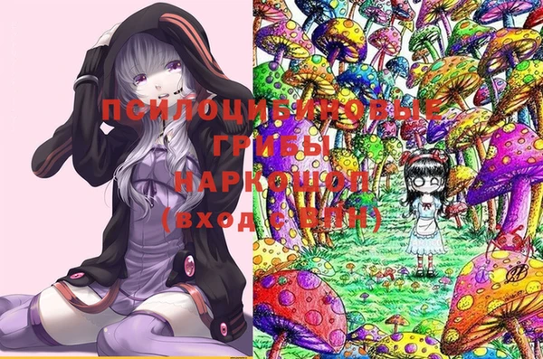 кокс Алексин