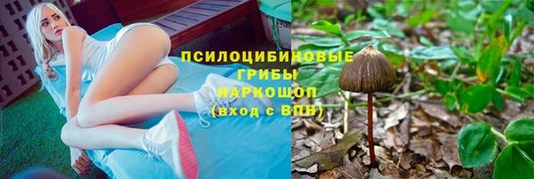 прущие грибы Абдулино
