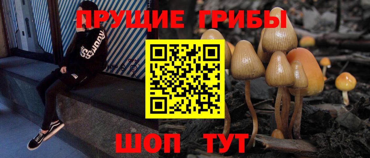 Дальнереченск  сколько стоит  Вход с VPN  Галлюциногенные грибы GOLDEN TEACHER 